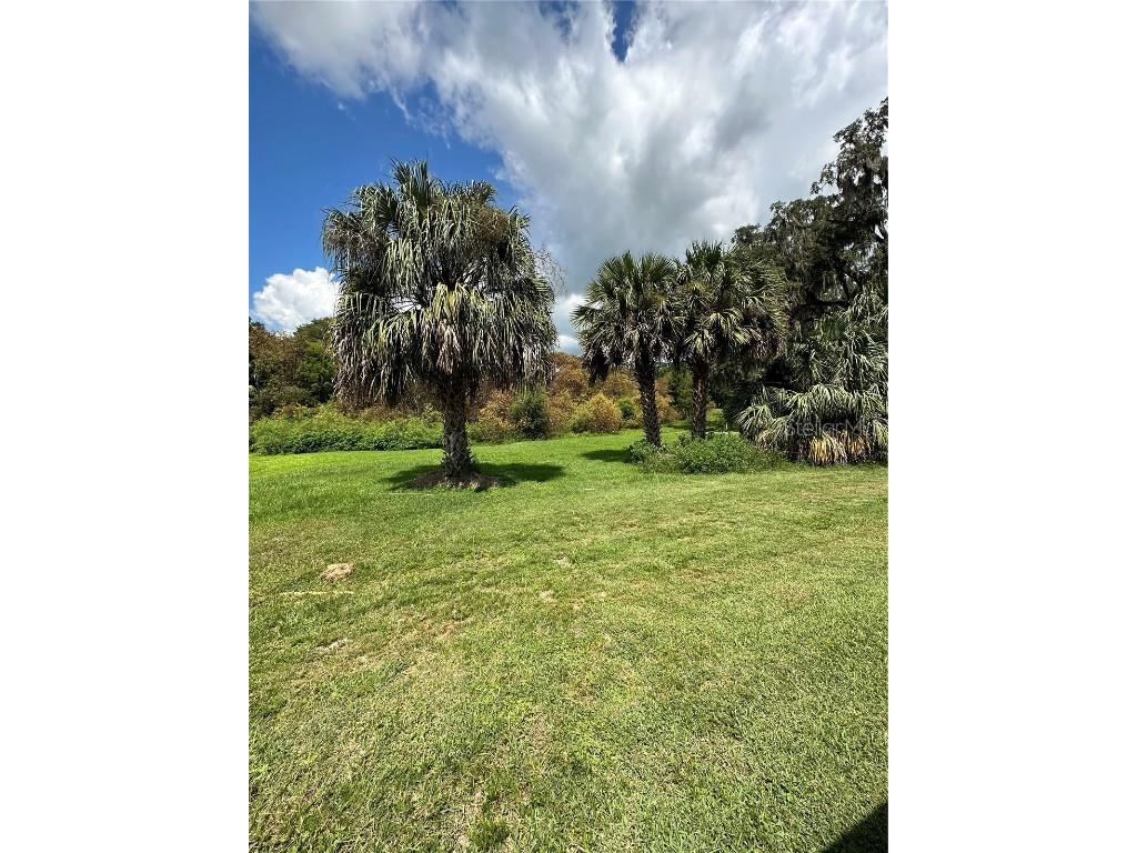 0 NE 6th Court Ocala FL 34479 OM679217 image1