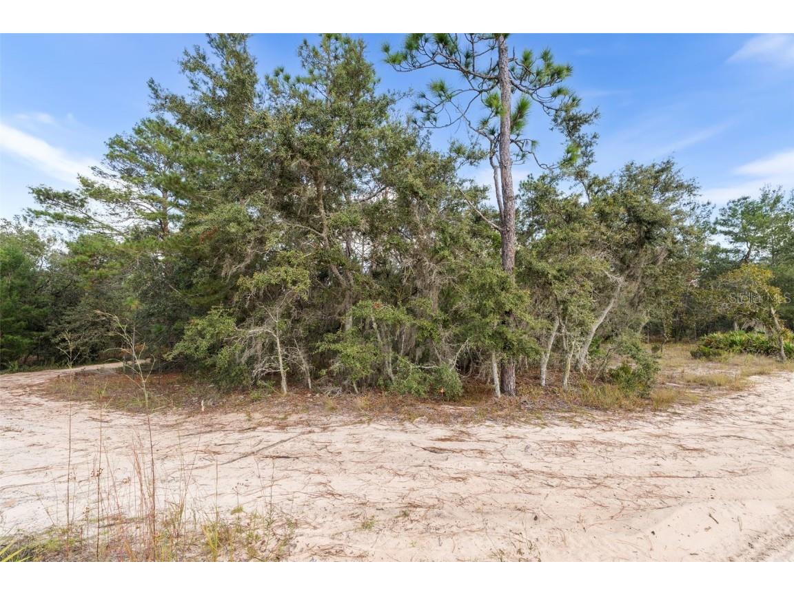 0 NE 75 Street Bronson FL 32621 GC534548 image2