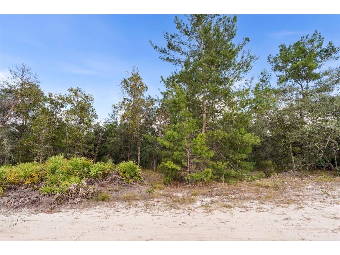 0 NE 75 Street Bronson FL 32621 GC534548 image3