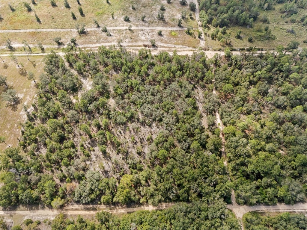 0 NE 75 Street Bronson FL 32621 GC534548 image9