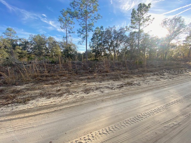 0 NE 77th Place Bronson FL 32621 A4563205 image1