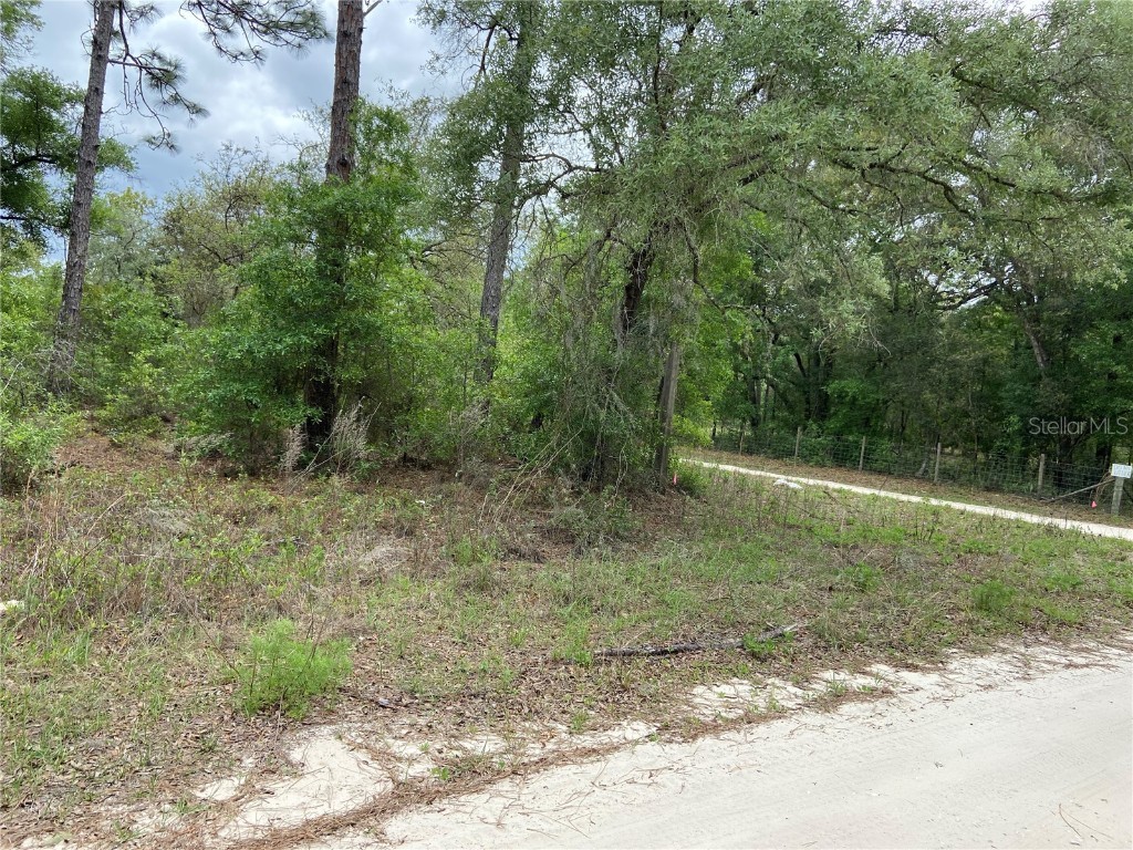 0 NE 78th Lane Bronson FL 32621 A4569749 image1