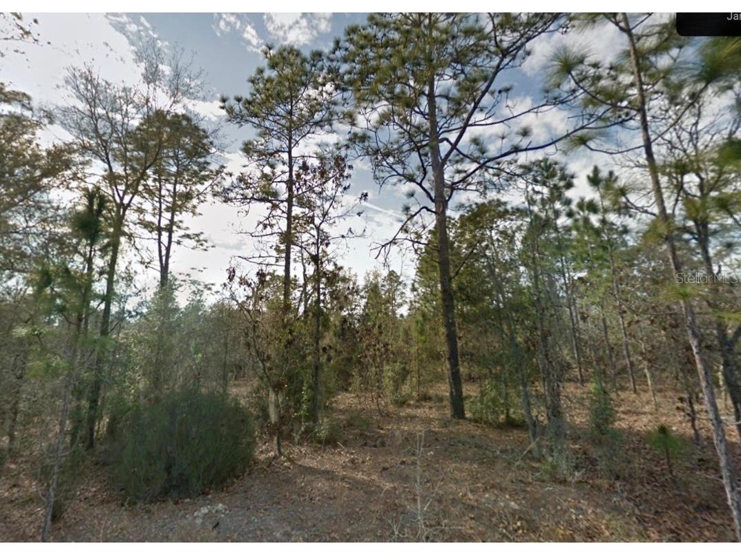 0 NE 81st Street Bronson FL 32621 A4580506 image1