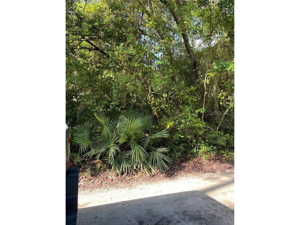 0 NE 85 Place Silver Springs FL 34488 O5949180 image1