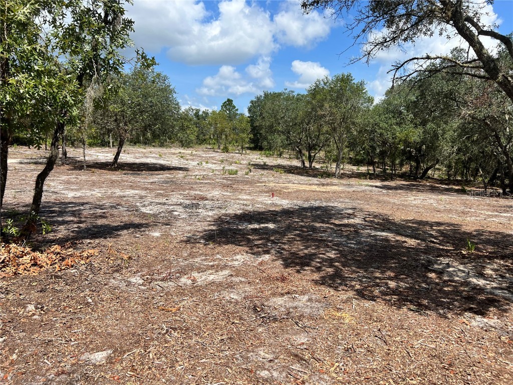 0 Ne 86th Street Bronson FL 32621 GC515496 image1