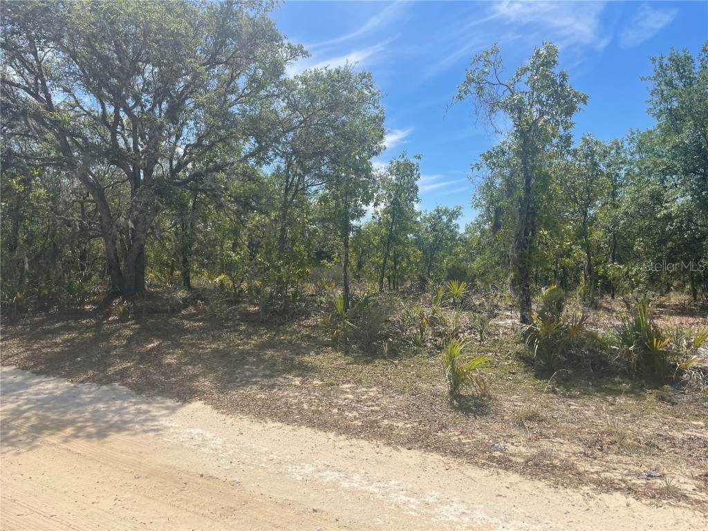 0 NE 90th Street Bronson FL 32621 GC512593 image1