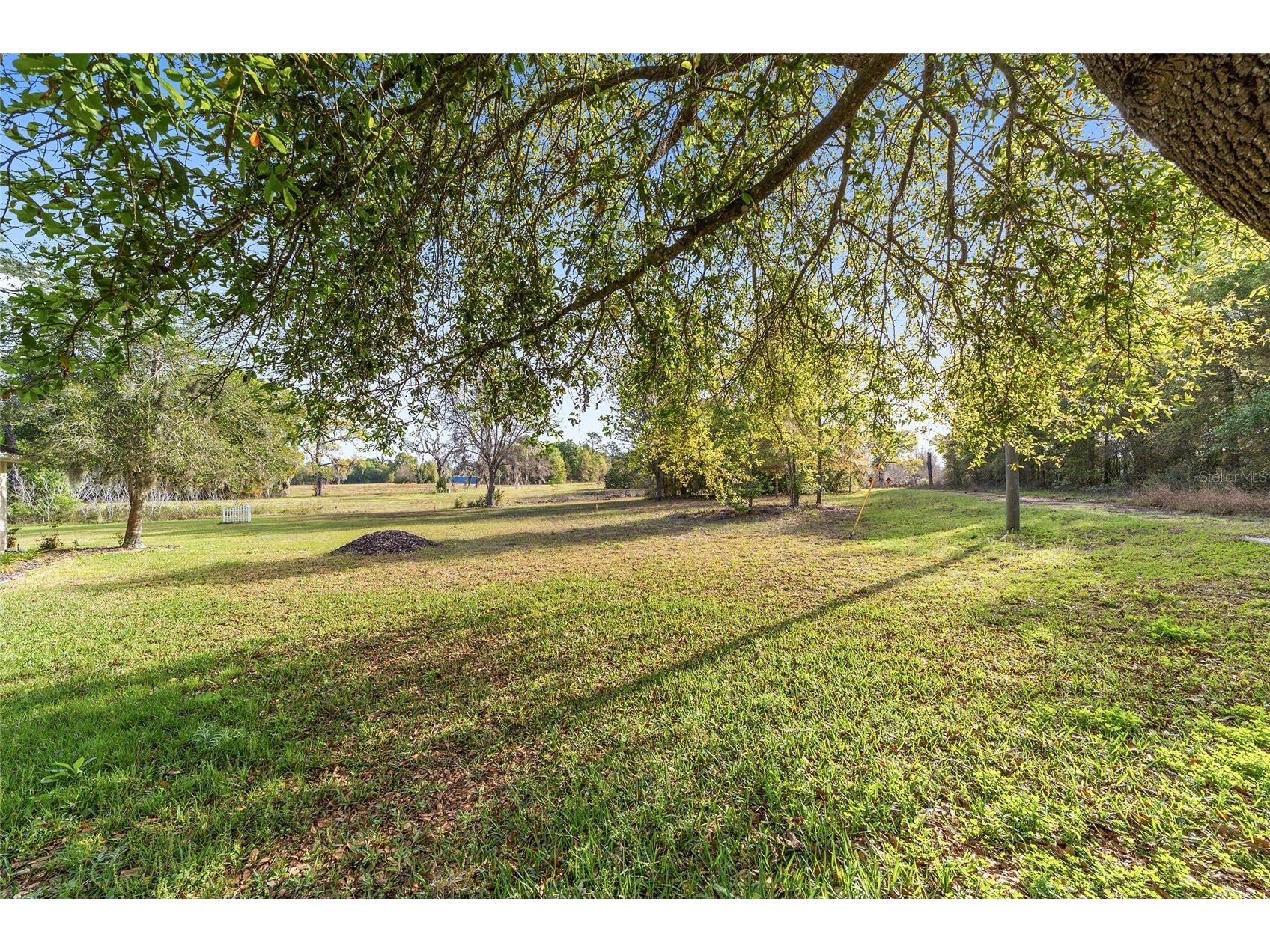 0 NE 9th Street Williston FL 32696 GC539080 image1