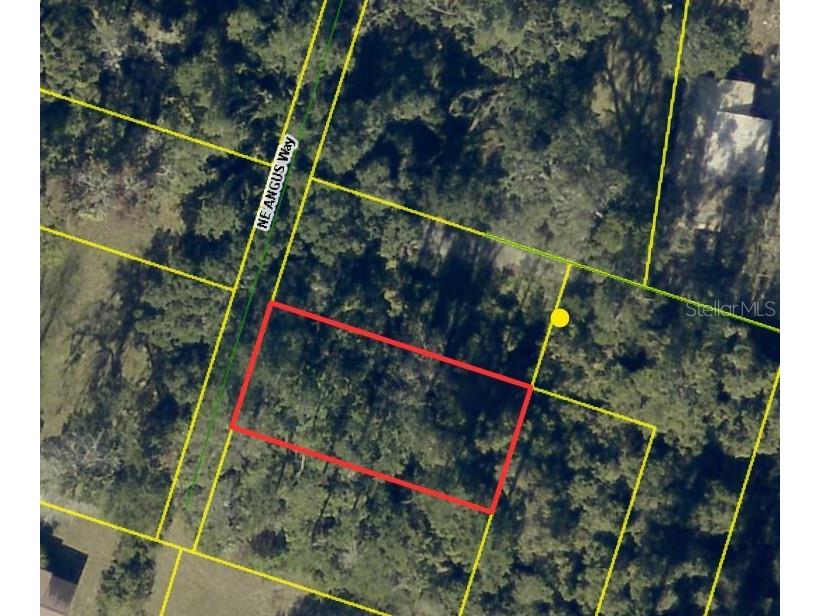0 NE Angus Way Lake City FL 32055 O6397989 image1