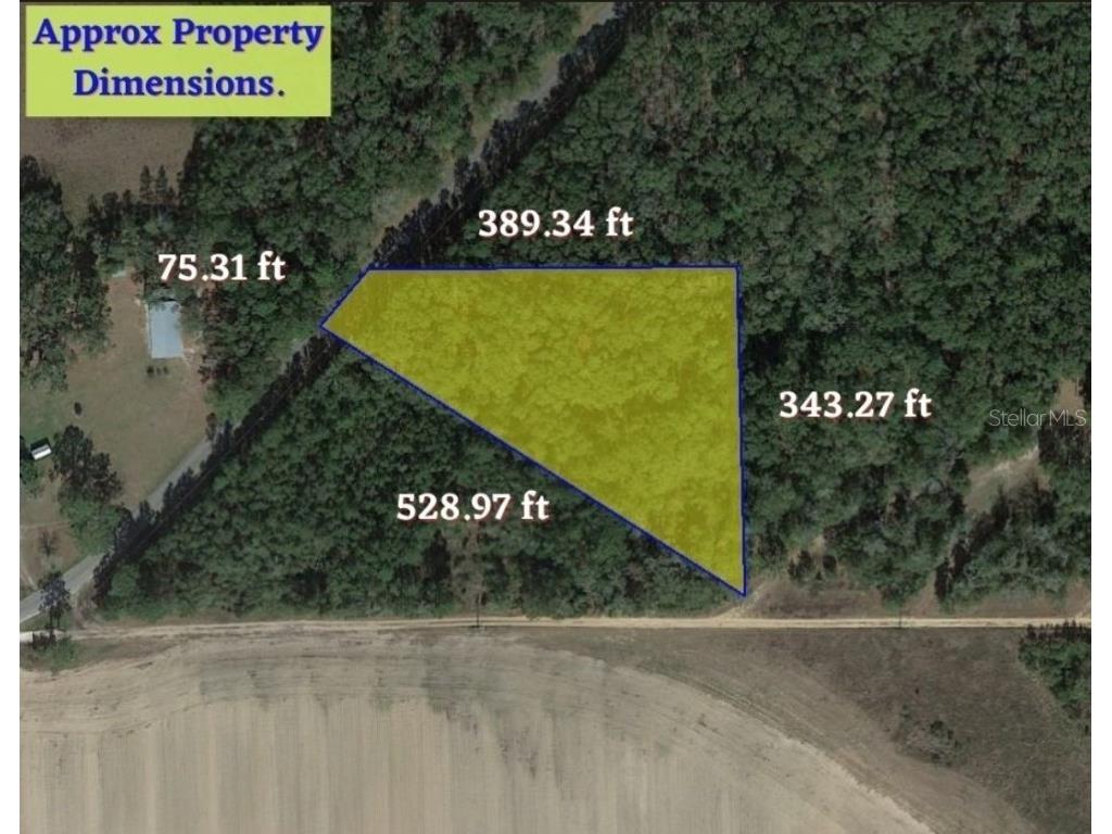 0 NE Old Blue Springs Road Lee FL 32059 OM651024 image1