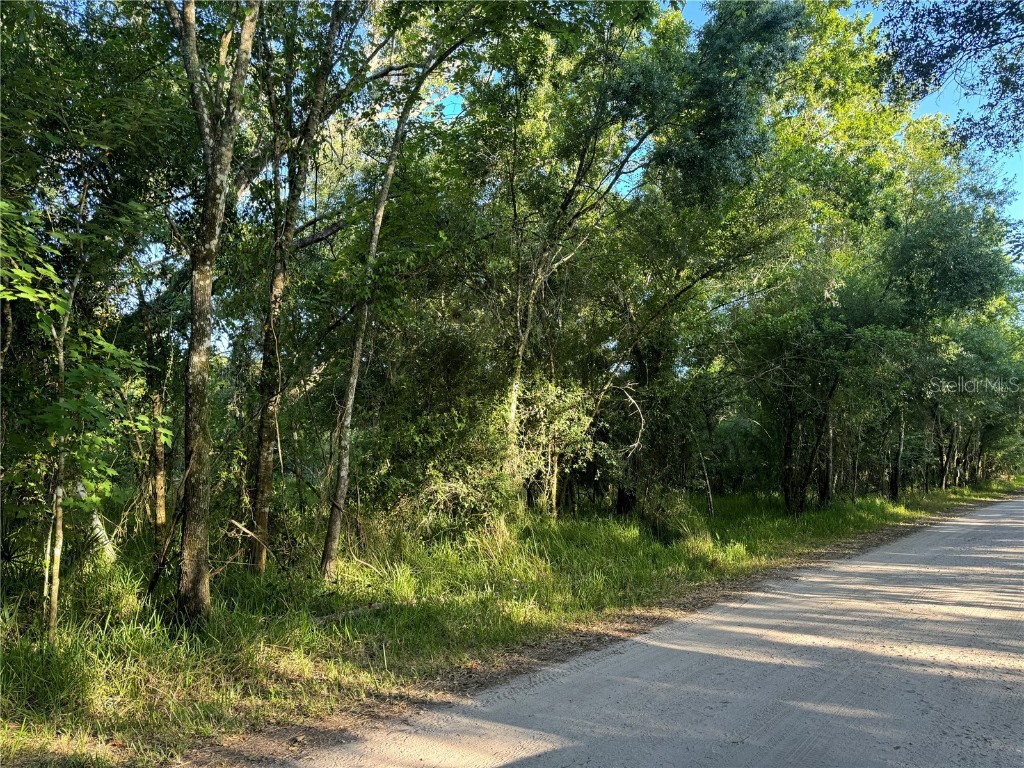 0 NE River Ridge Avenue Arcadia FL 34266 - PEACE RIVER C7491998 image1