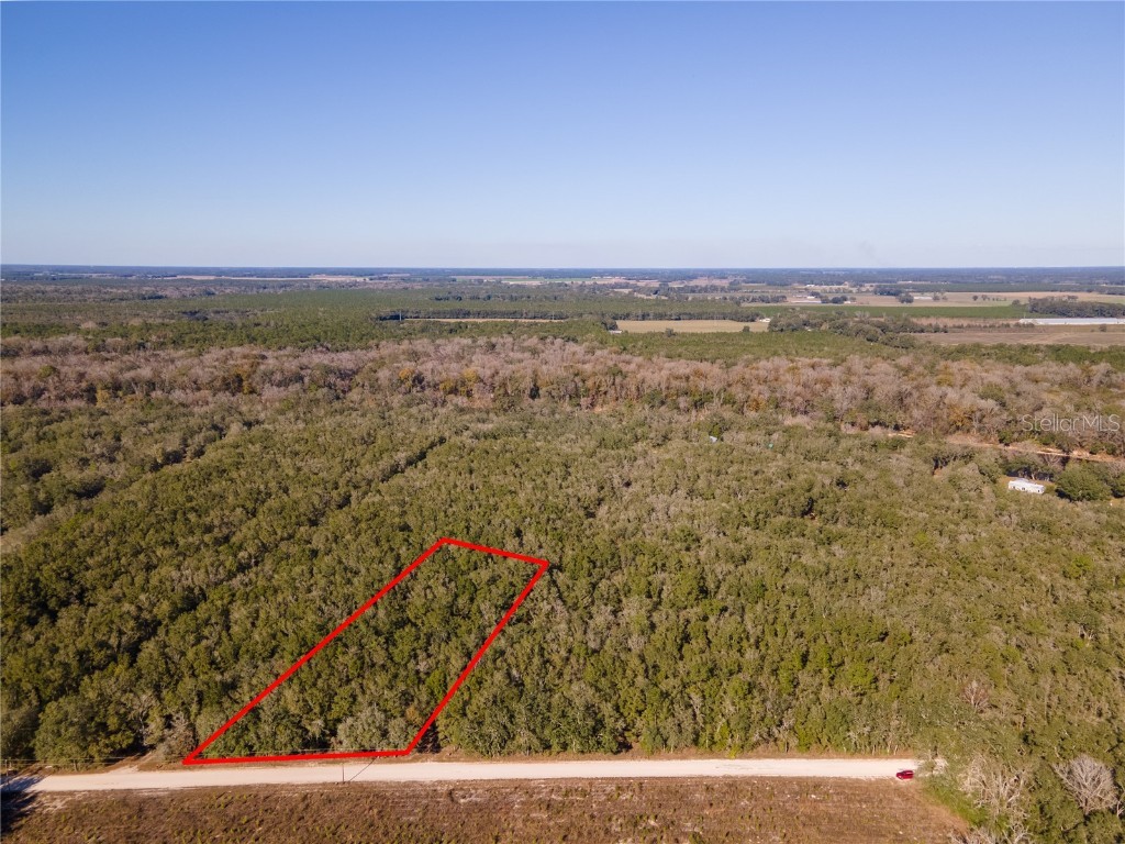 0 NE Tansy Road Mayo FL 32066 P4924095 image1