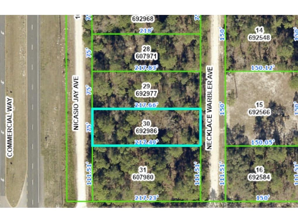 0 Necklace Warbler Avenue Weeki Wachee FL 34614 T3501118 image1