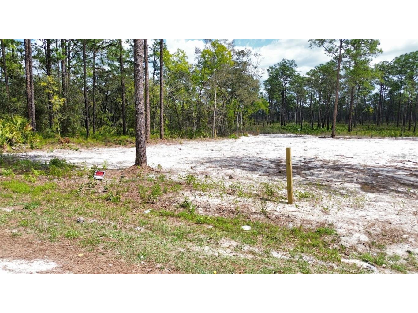 0 Necklace Warbler Avenue Weeki Wachee FL 34613 TB8369875 image11