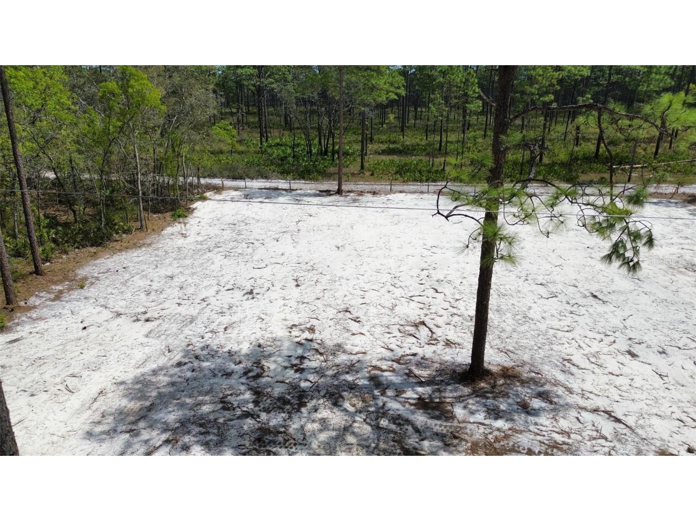 0 Necklace Warbler Avenue Weeki Wachee FL 34613 TB8369875 image12