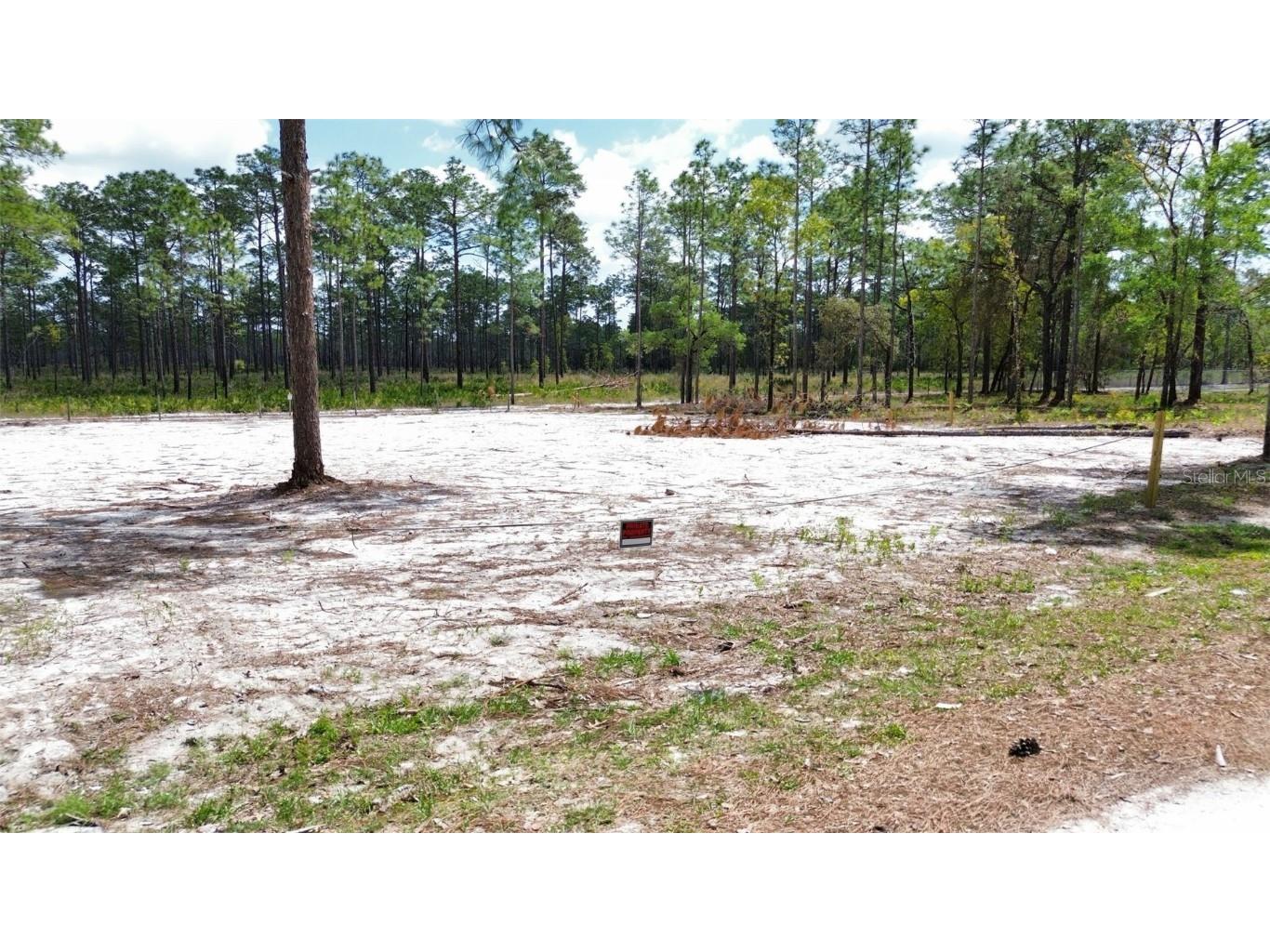 0 Necklace Warbler Avenue Weeki Wachee FL 34613 TB8369875 image4