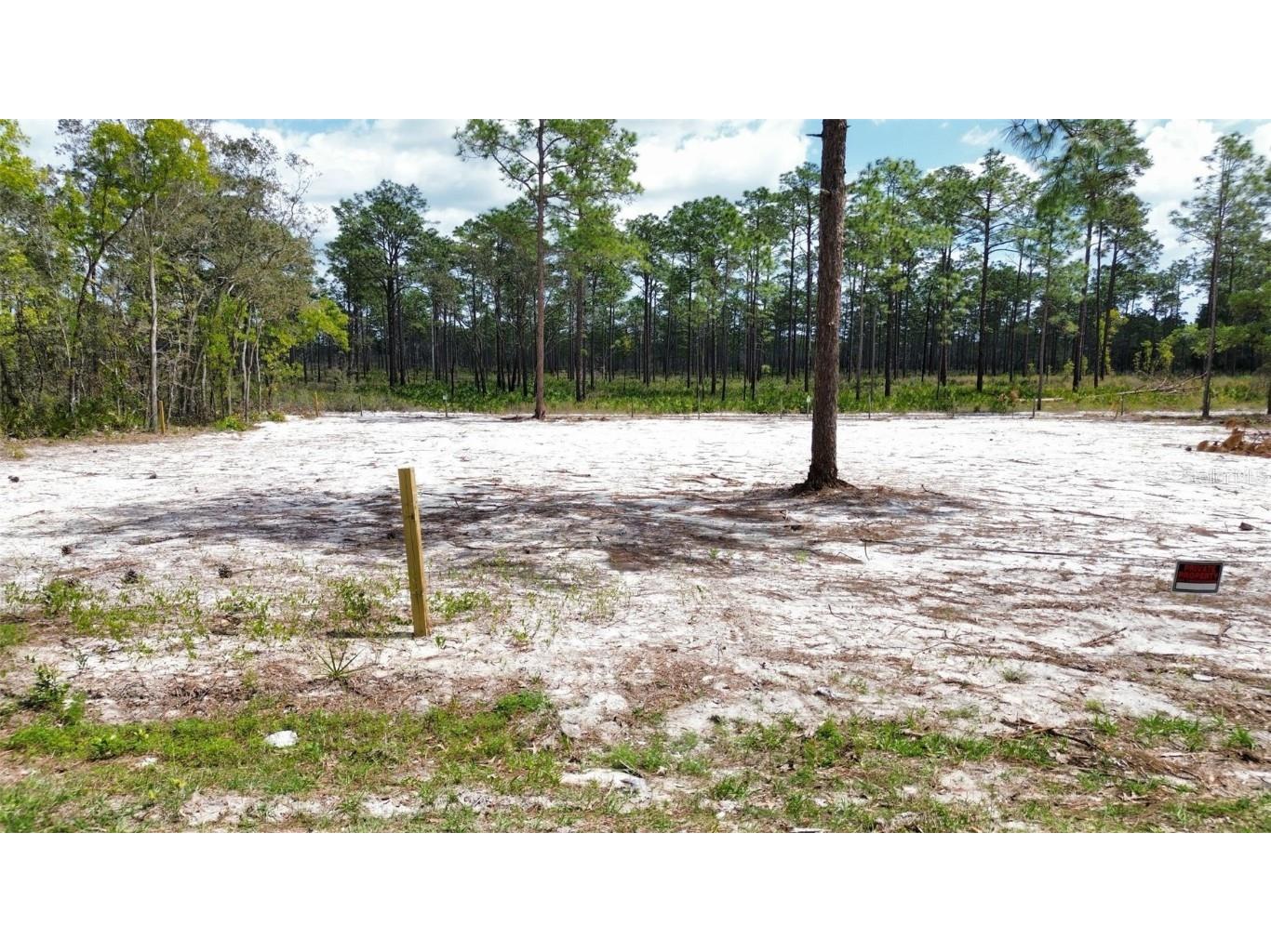 0 Necklace Warbler Avenue Weeki Wachee FL 34613 TB8369875 image6