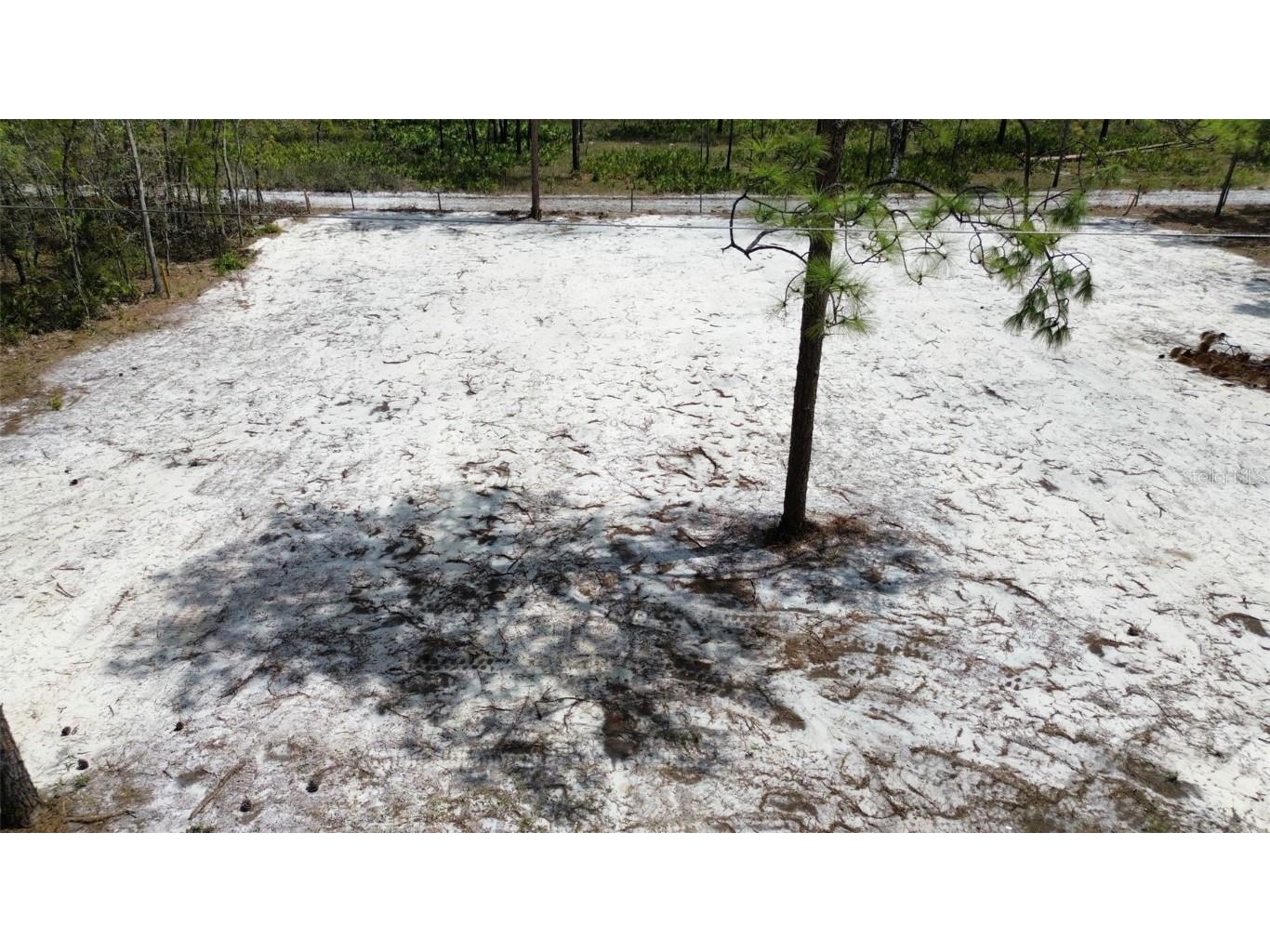 0 Necklace Warbler Avenue Weeki Wachee FL 34613 TB8369875 image7