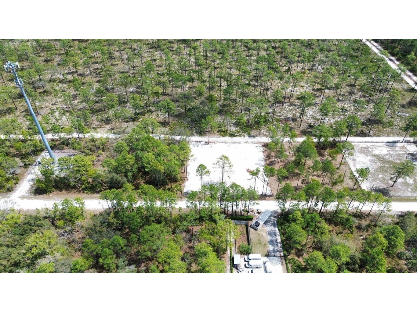 0 Necklace Warbler Avenue Weeki Wachee FL 34613 TB8369875 image8