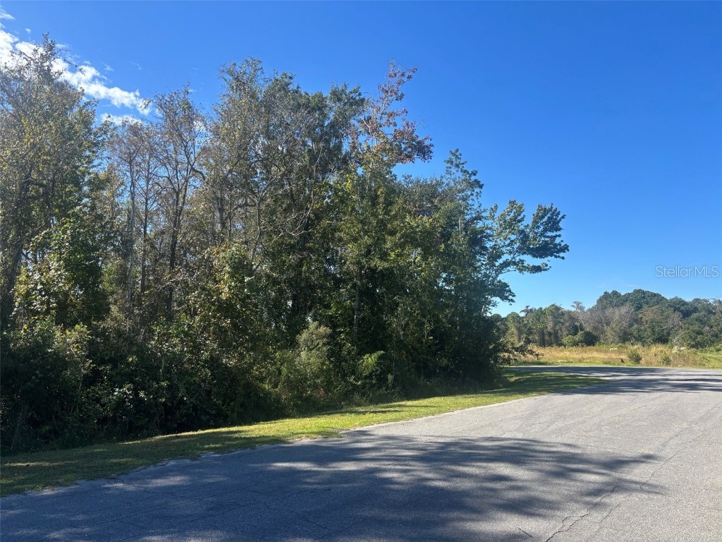 0 Newburg Street Orlando FL 32833 O6350490 image2