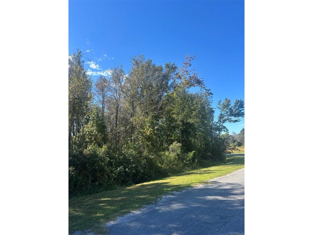 0 Newburg Street Orlando FL 32833 O6350490 image3