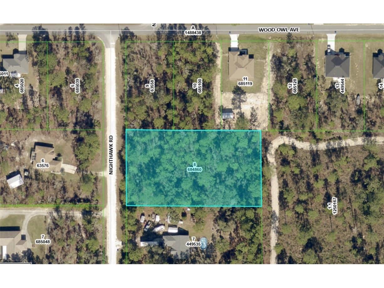 0 Nighthawk Road Weeki Wachee FL 34614 TB8405246 image1