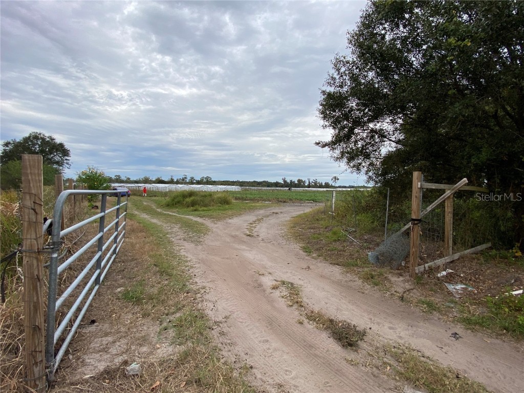 0 No Address Wimauma FL 33598 T3344554 image1