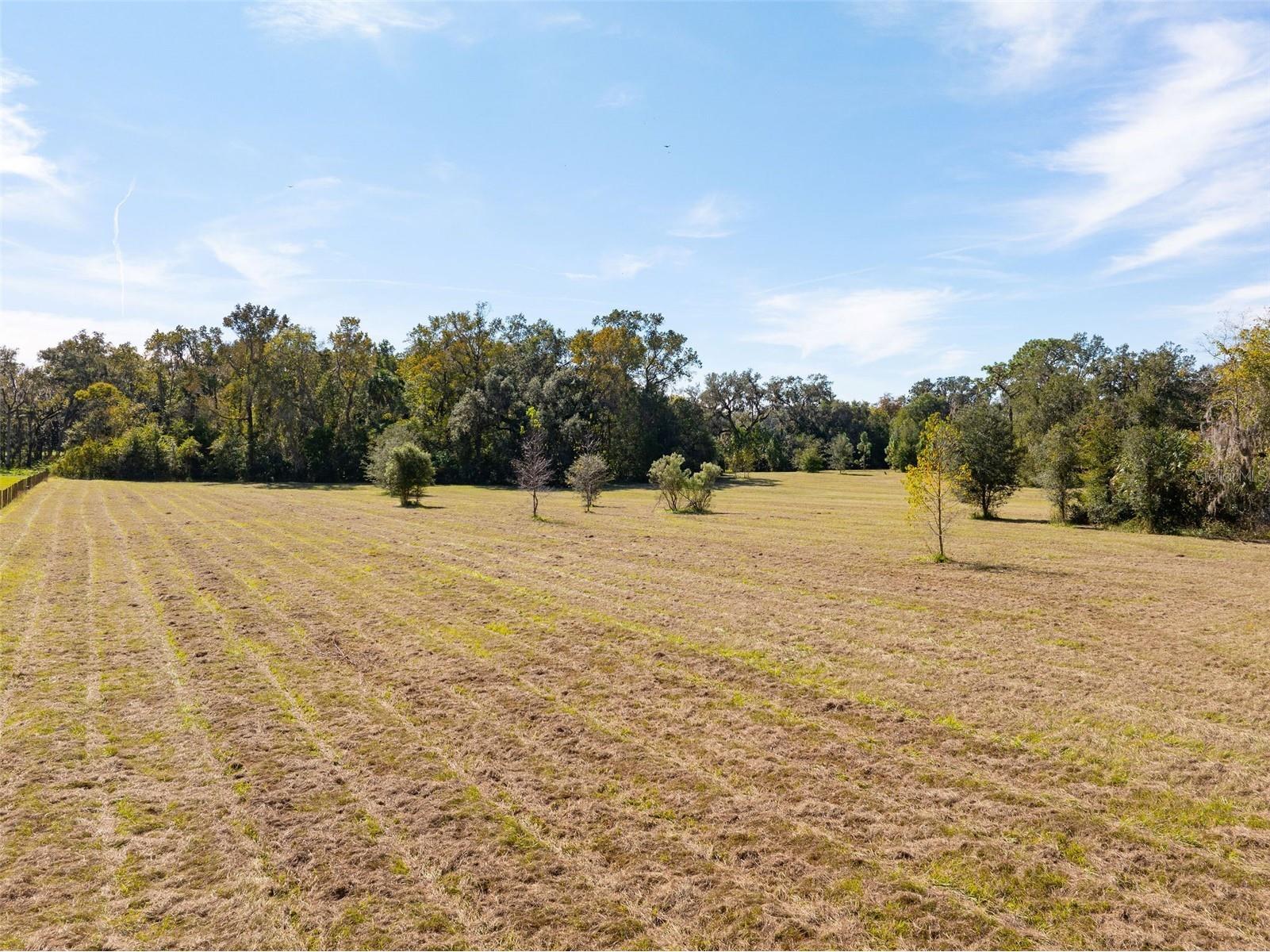 0 Norris Bishop Loop Brooksville FL 34614 W7881704 image4