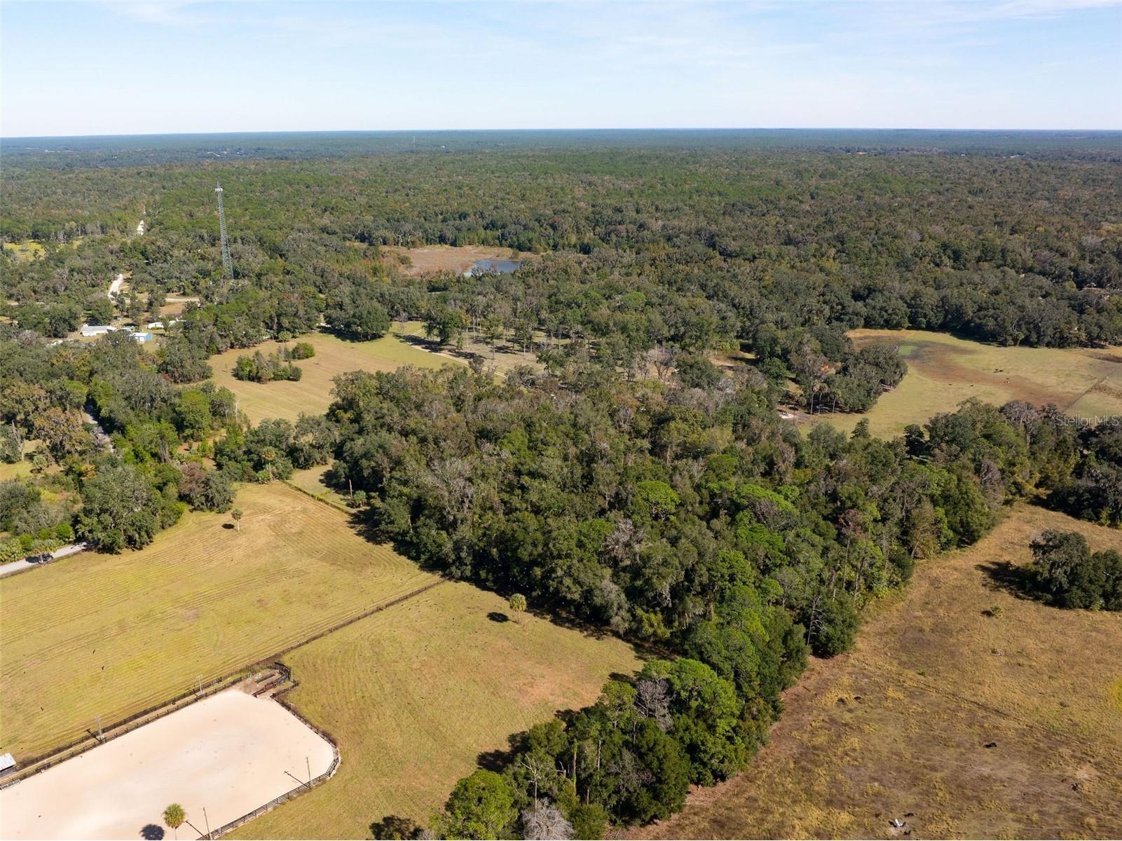 0 Norris Bishop Loop Brooksville FL 34614 W7881704 image6