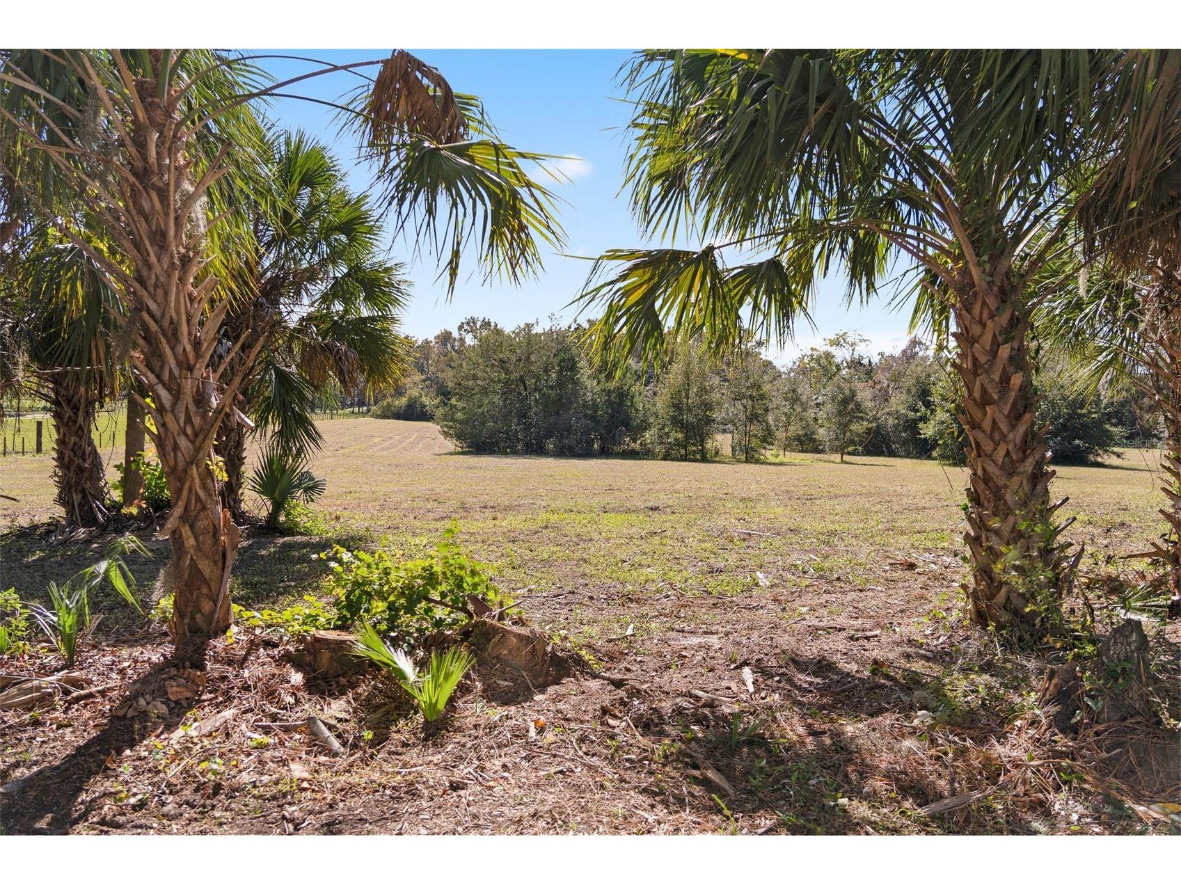 0 Norris Bishop Loop Brooksville FL 34614 W7881704 image7