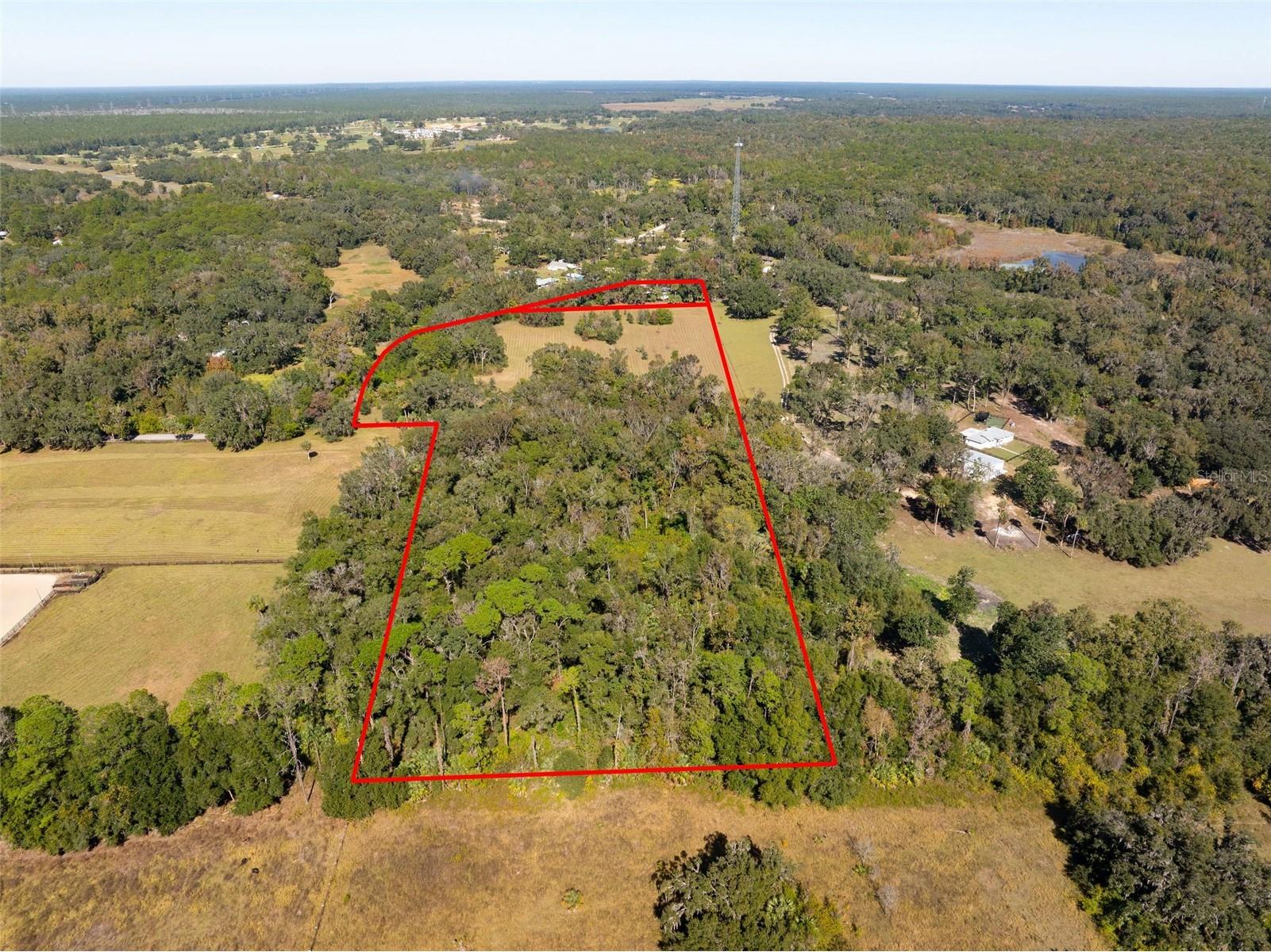 0 Norris Bishop Loop Brooksville FL 34614 W7881704 image8