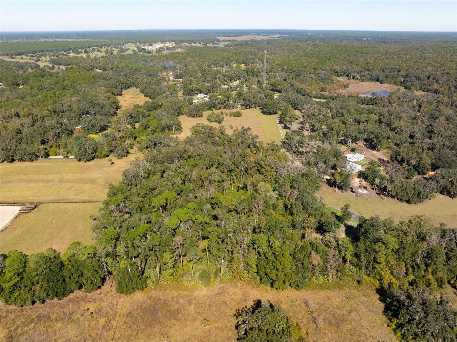 0 Norris Bishop Loop Brooksville FL 34614 W7881704 image9