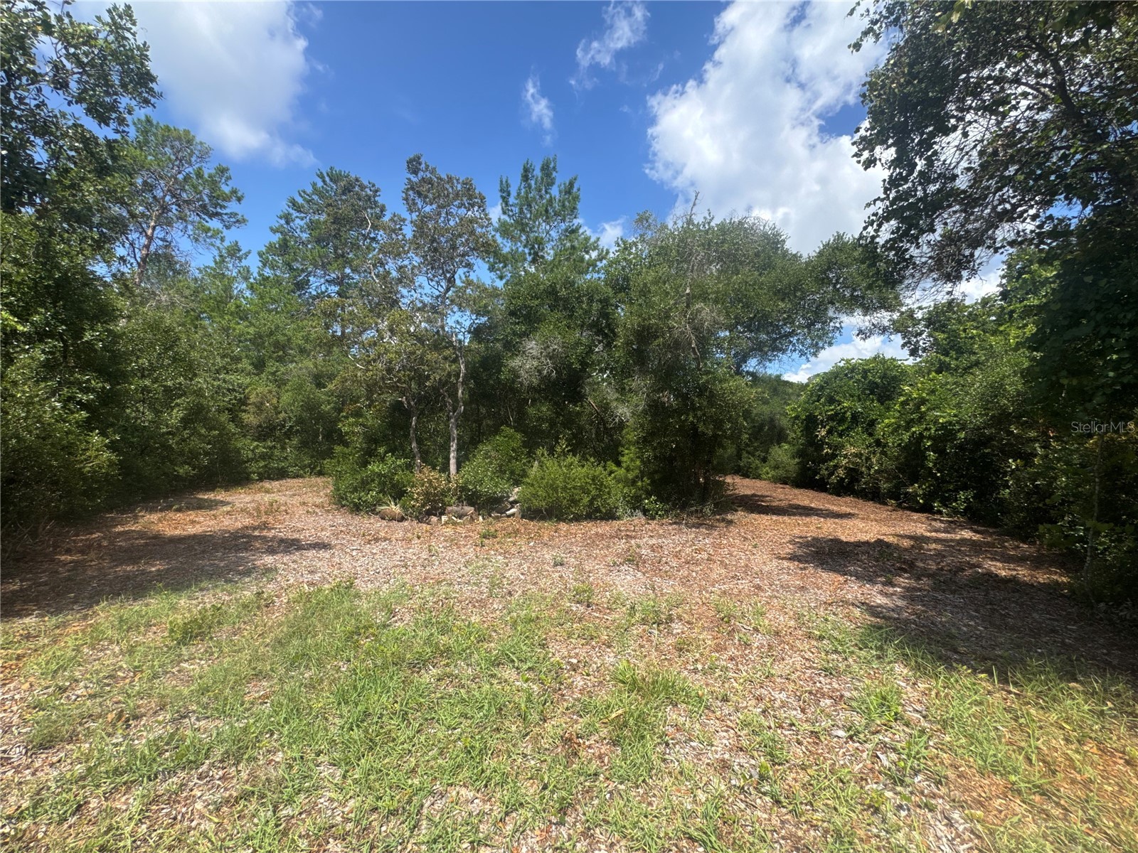 0 North Circle E Paisley FL 32767 O6417539 image1