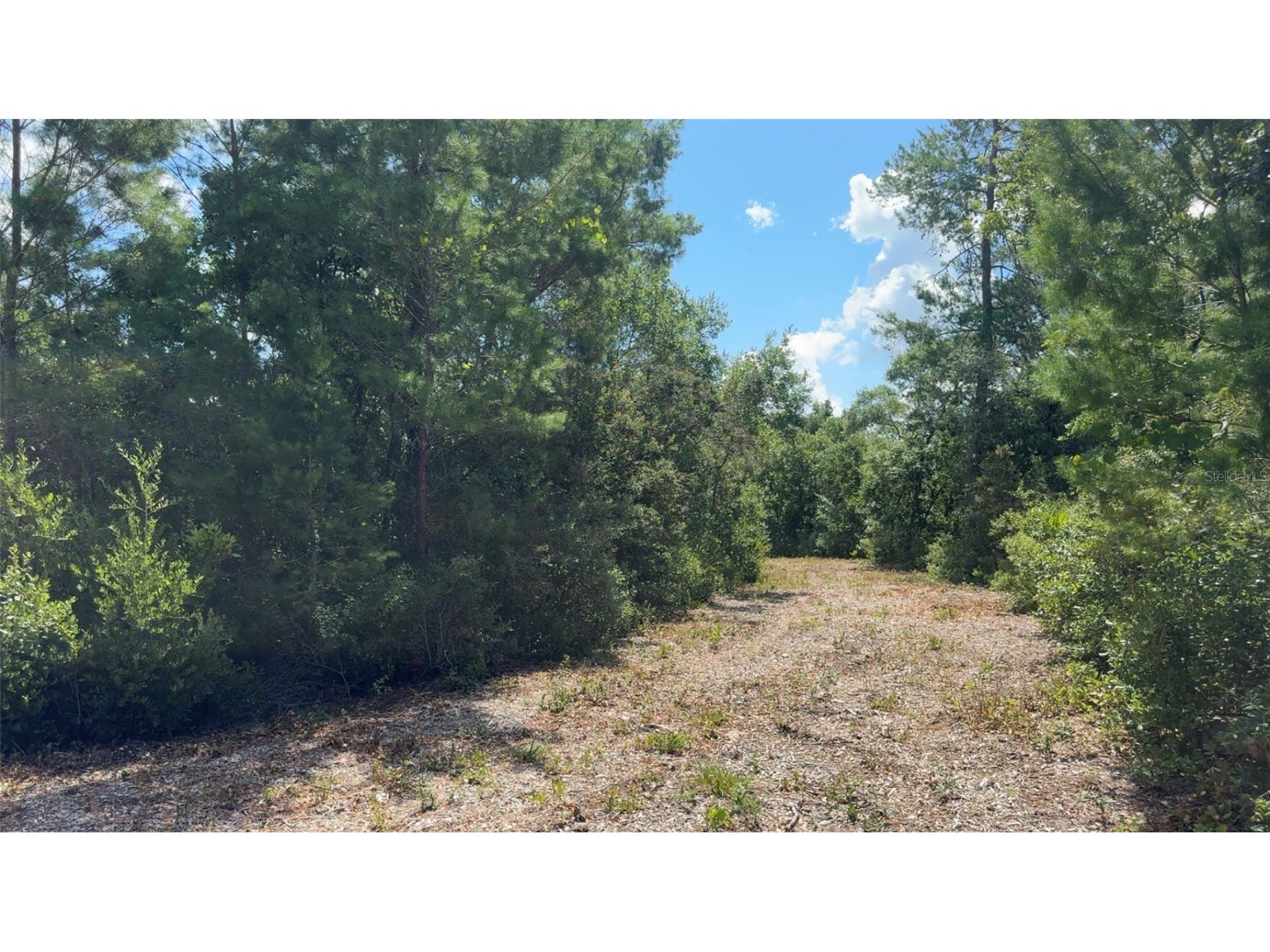 0 North Circle E Paisley FL 32767 O6417539 image10