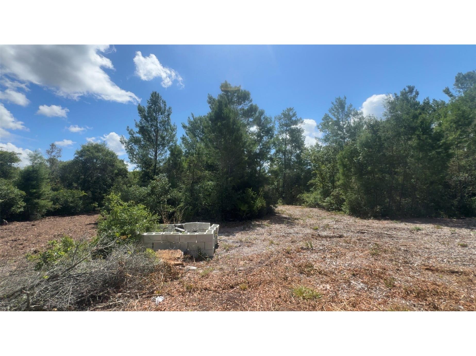 0 North Circle E Paisley FL 32767 O6417539 image11