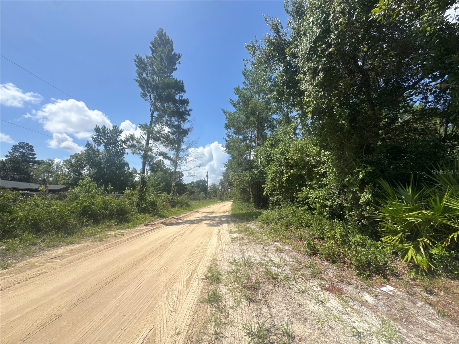 0 North Circle E Paisley FL 32767 O6417539 image3