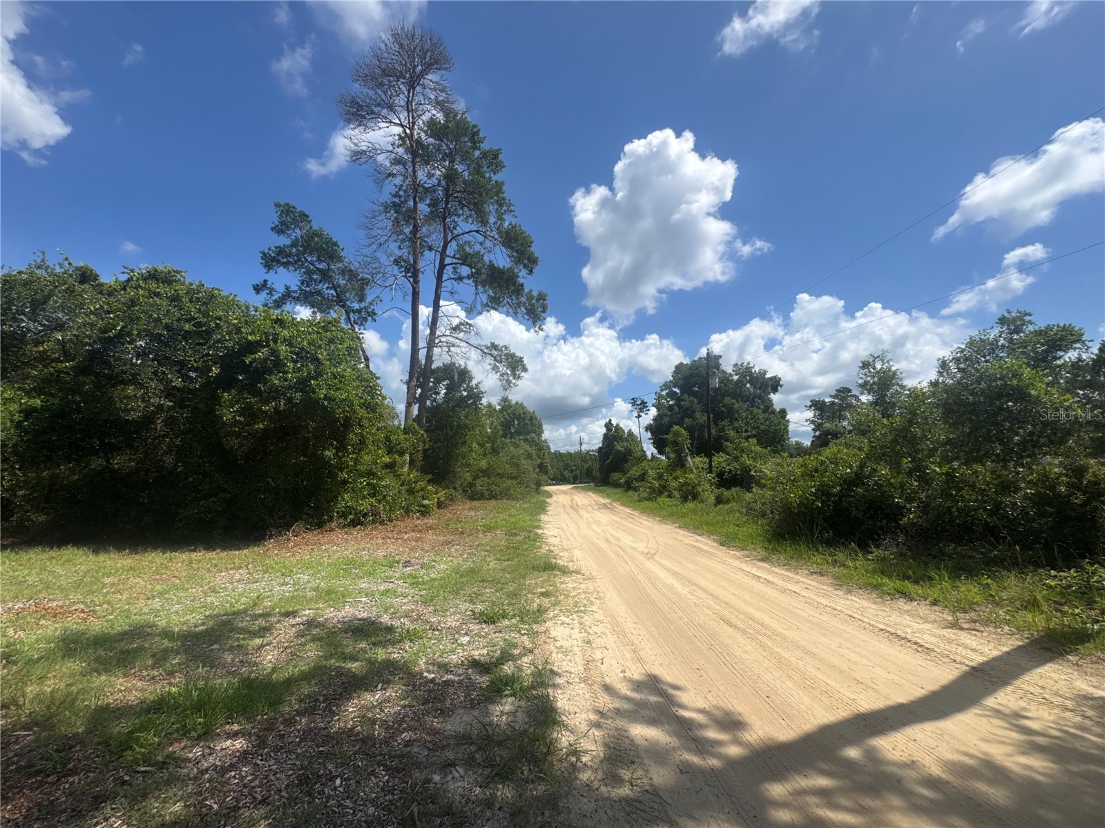 0 North Circle E Paisley FL 32767 O6417539 image4