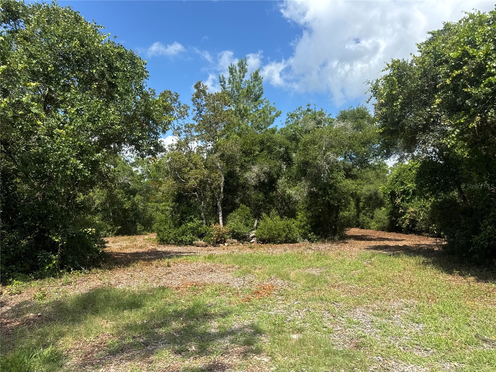 0 North Circle E Paisley FL 32767 O6417539 image5
