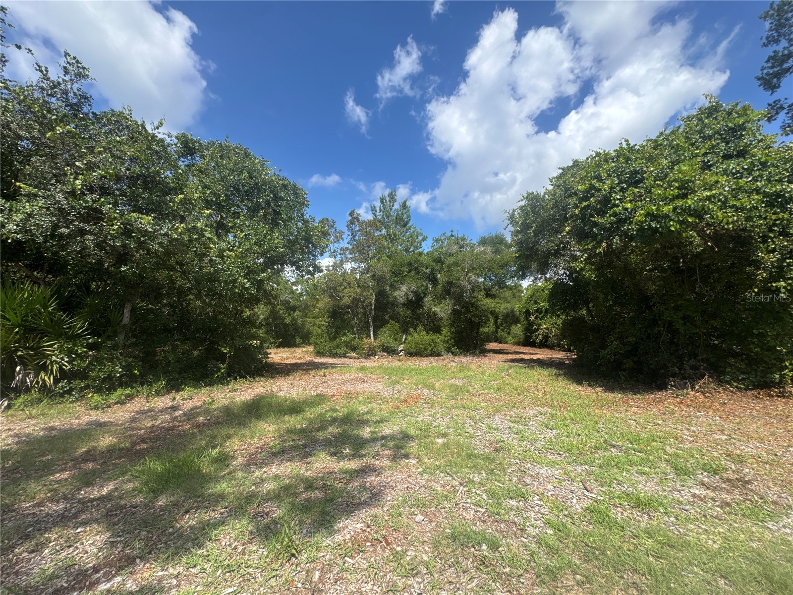 0 North Circle E Paisley FL 32767 O6417539 image6