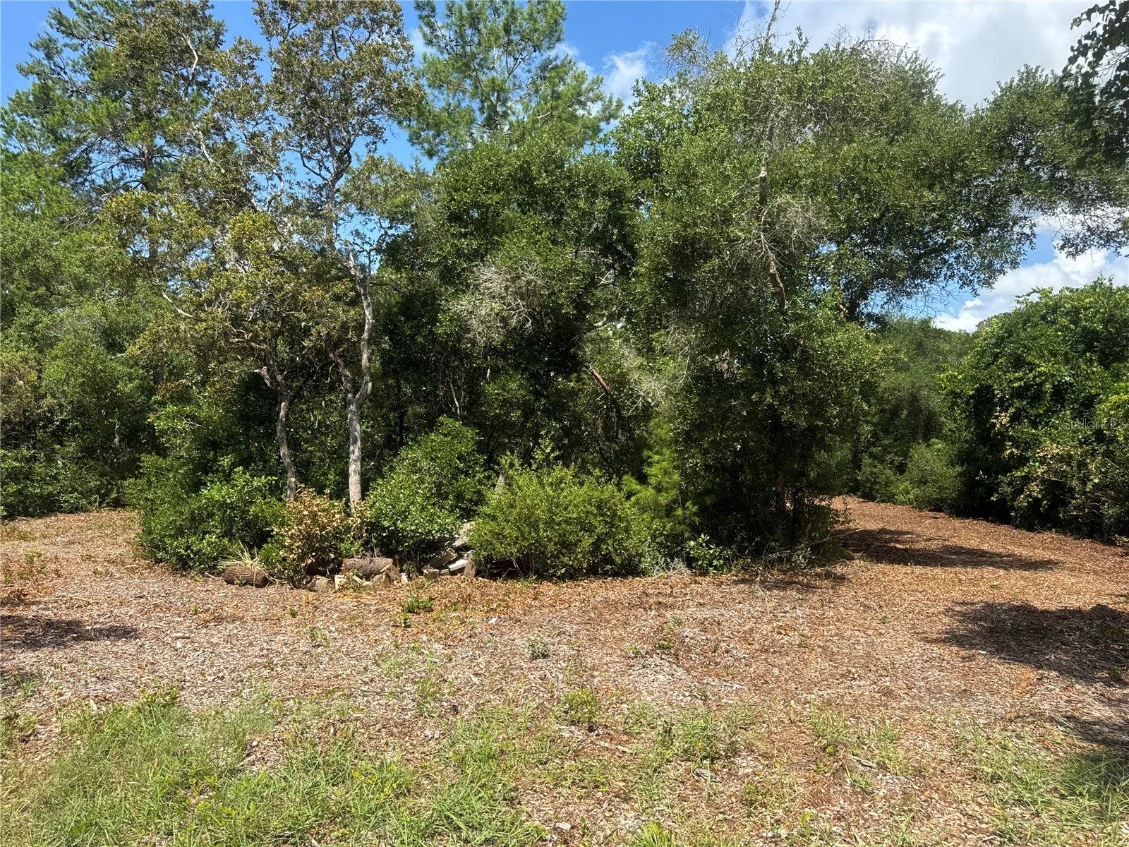 0 North Circle E Paisley FL 32767 O6417539 image7