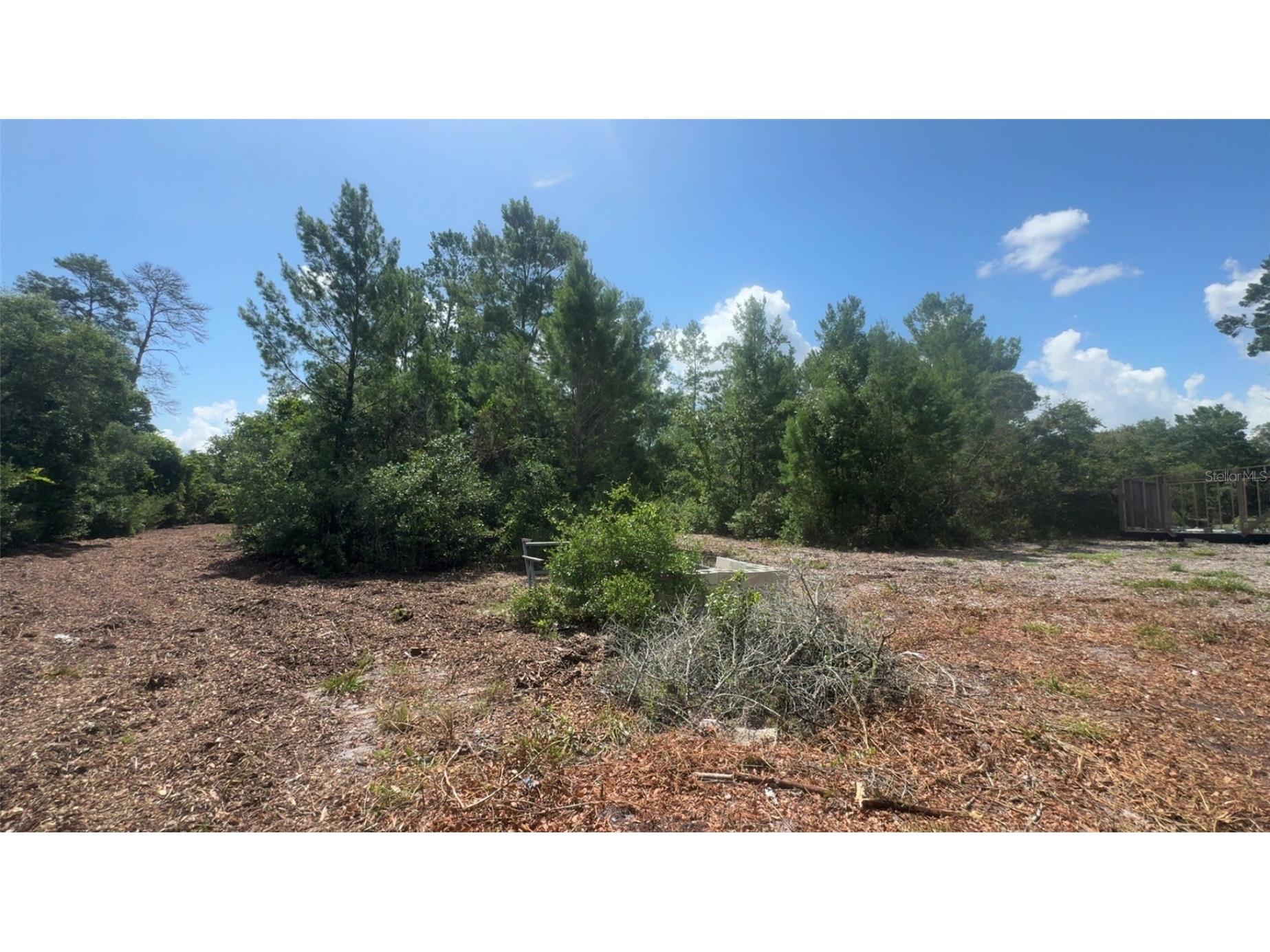 0 North Circle E Paisley FL 32767 O6417539 image8