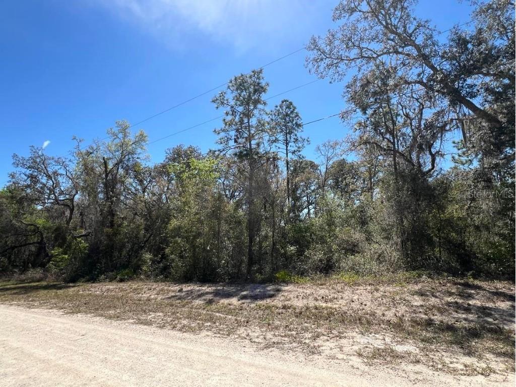 0 Northwest Avenue #LOT 32 Webster FL 33597 TB8359400 image1