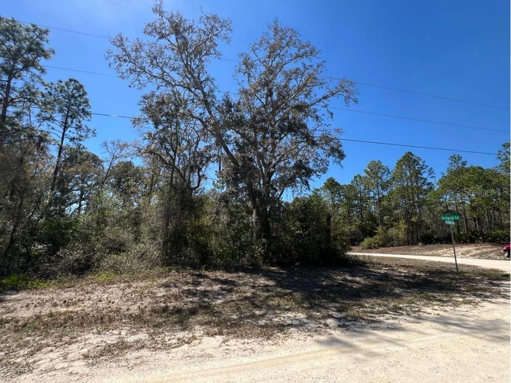 0 Northwest Avenue #LOT 32 Webster FL 33597 TB8359400 image10