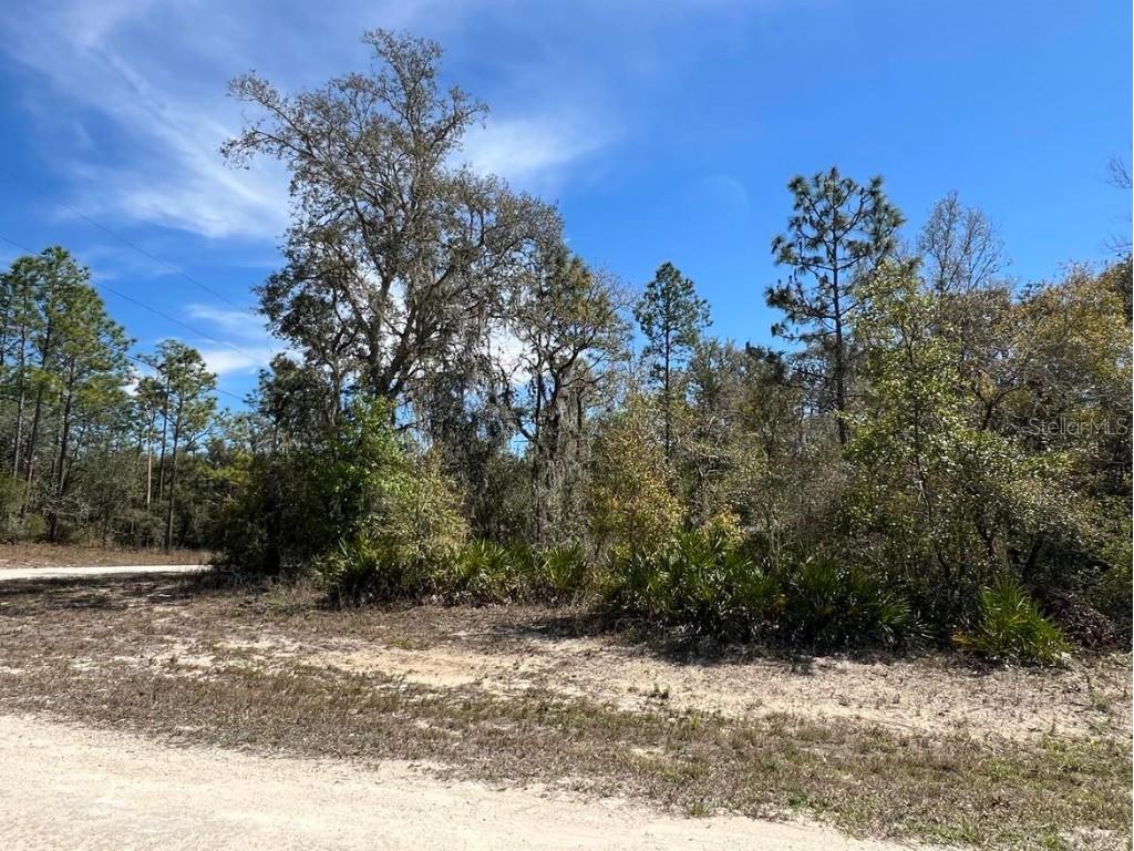 0 Northwest Avenue #LOT 32 Webster FL 33597 TB8359400 image12