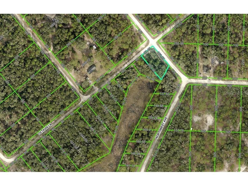 0 Northwest Avenue #LOT 32 Webster FL 33597 TB8359400 image14