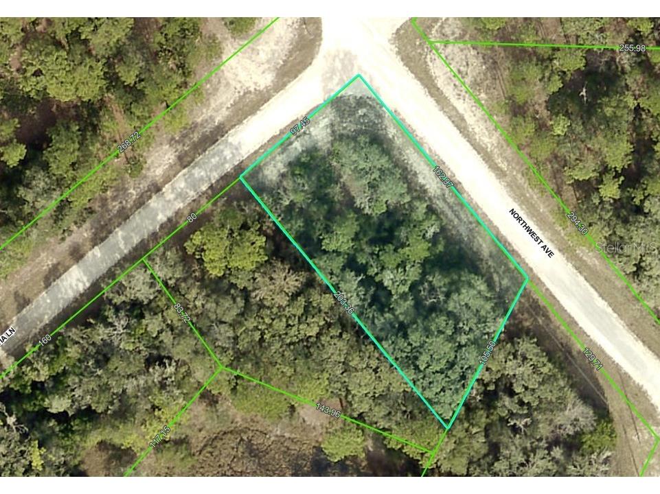0 Northwest Avenue #LOT 32 Webster FL 33597 TB8359400 image2