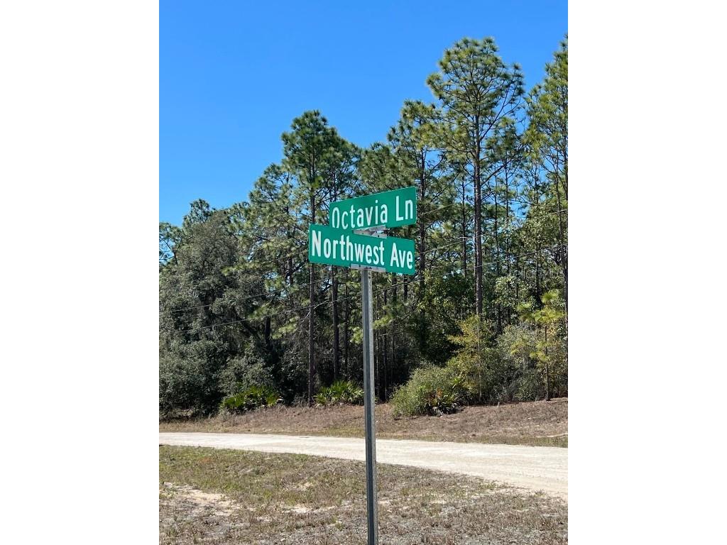0 Northwest Avenue #LOT 32 Webster FL 33597 TB8359400 image4