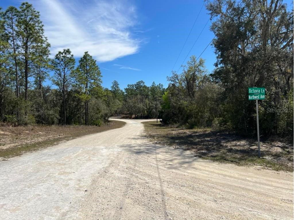0 Northwest Avenue #LOT 32 Webster FL 33597 TB8359400 image5