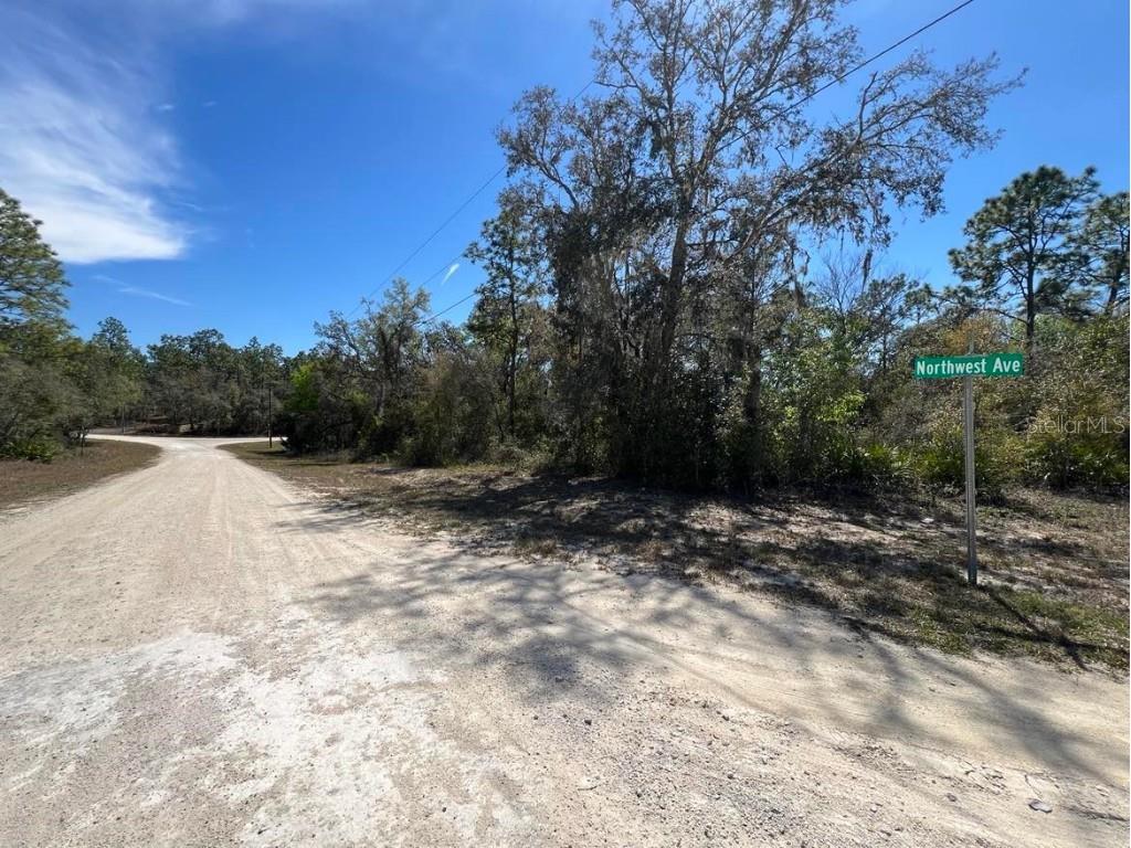 0 Northwest Avenue #LOT 32 Webster FL 33597 TB8359400 image6