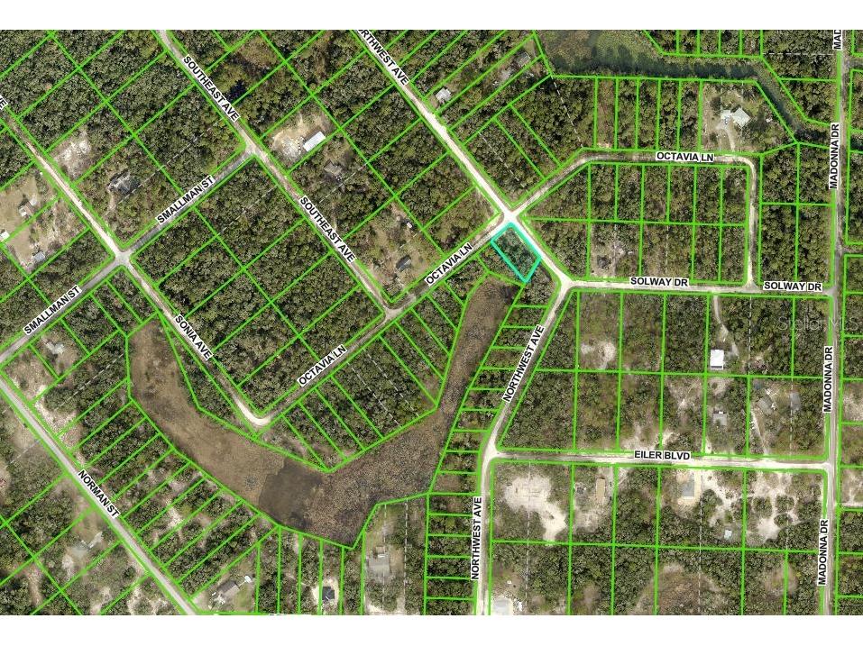 0 Northwest Avenue #LOT 32 Webster FL 33597 TB8359400 image7