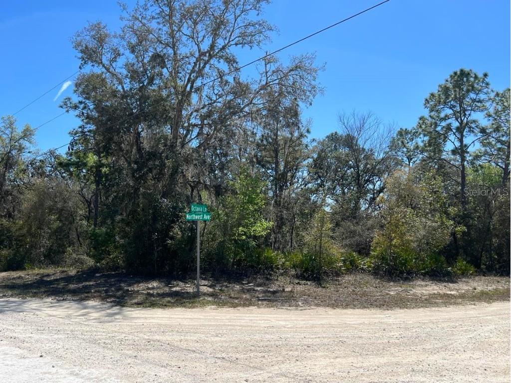 0 Northwest Avenue #LOT 32 Webster FL 33597 TB8359400 image8